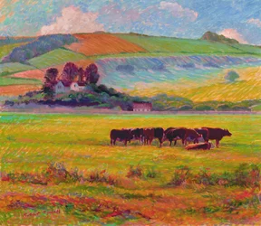 Esti marha, Cuckmere Valley, Sussex